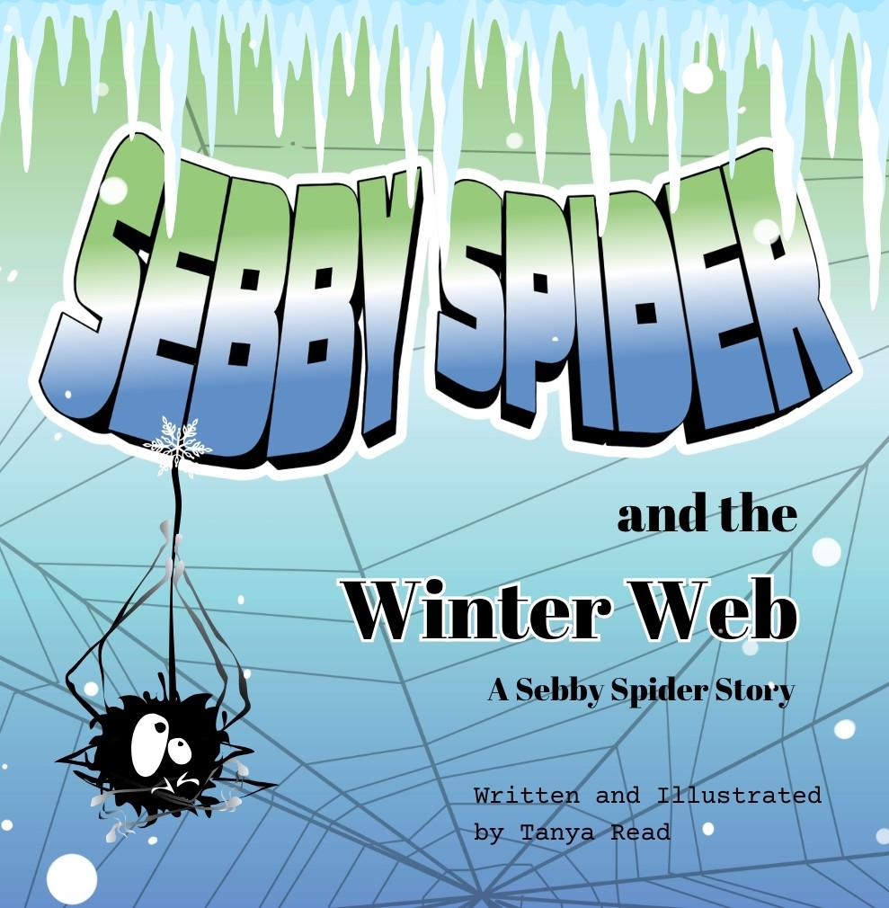 Sebby Spider and the Winter Web