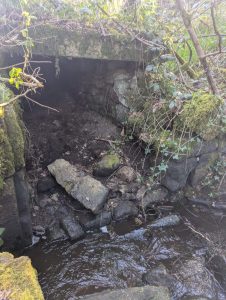 A photo of the Troll Cave we found in the woods.